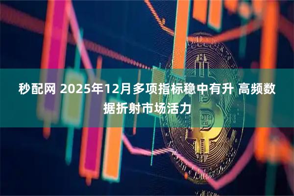 秒配网 2025年12月多项指标稳中有升 高频数据折射市场活力